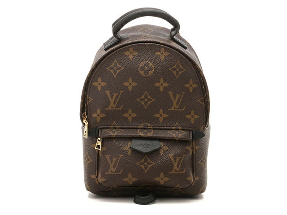 LOUIS VUITTON Bag Palm Springs Backpack Monogram